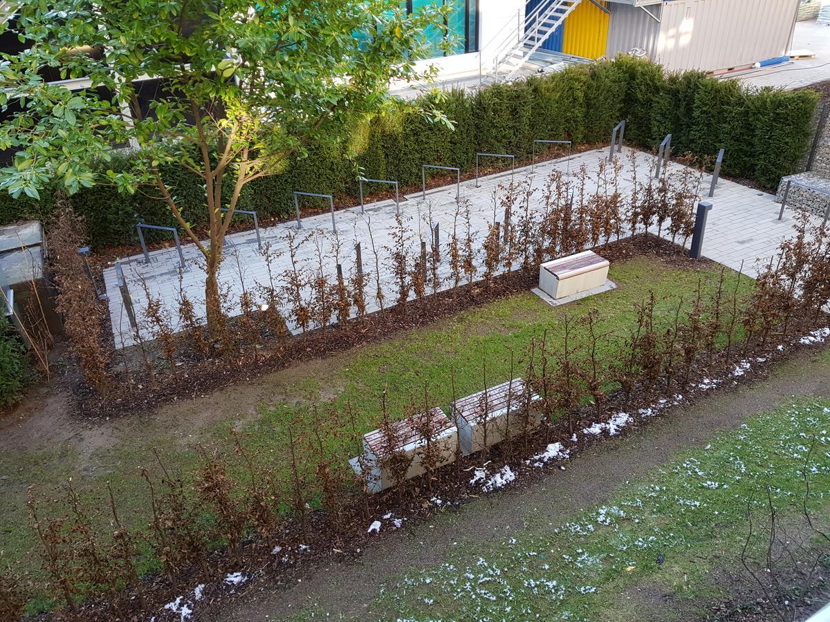 Cityapartments Duesseldorf City ภายนอก รูปภาพ